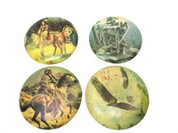 American Indian Collectable Plate Decor