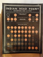 Indianhead penny collection