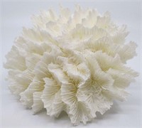 8"x7"x4.5" White Ribbon Coral Specimen