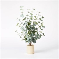 Medium Eucalyptus In Pot - Threshold™ Designed