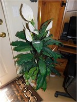 Approx 4ft Tall Neverdie Plant