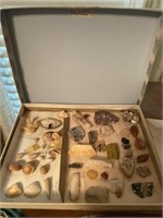 Miscellaneous fossils
