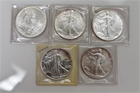 Sterling Silver American Eagle Grouping