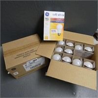 (2) Cases of 100W Light Bulbs