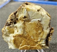 Rock & Mineral Specimen w/ Stand Honeycomb Quartz