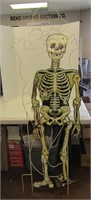 5' Metal Yard Ghost + Cardboard Hanging Skeleton