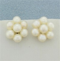 Cultured Pearl Button Earrings in 14 Yellow Gold
