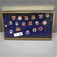 Display Case w/ Assorted Pins