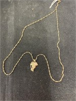 10K Pendant with Unmarked 18 Inch Chain