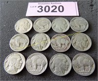 Twelve nice looking Buffalo nickels