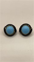 Turquoise and black earrings