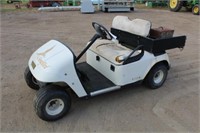 EZ GO By Textron Golf Cart 1063856