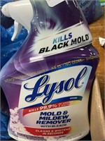 Lysol mold & mildew remover (2 & partial)