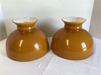 Two Glass Lamp Shades
