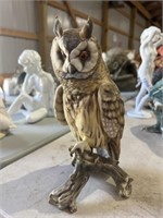 Kaiser owl