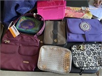 Travelon Bag and 6 makeup/jewelry carriers