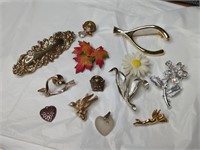 Brooches, Pins & Charms