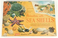 Vintage Capital Seashell Adventure