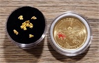 Alaska Gold Nuggets w/ 2021 Klondike Coin #2