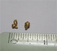 .45 Grams Alaskan Gold Nuggets