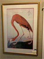 Famous Flamingo