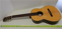Giannini Brazilian Rosewood Guitar