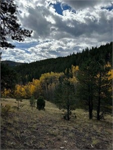 5.16 Ac Stephens, OFF GRID Property, Id Springs-CO
