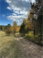 5.16 Ac. Chance, Real Property, Idaho Springs, CO