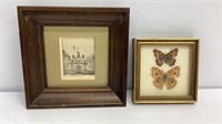 2 vintage wall art, 1 is real butterflies 5x5 and