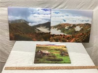 3 PIECES OF CANVAS WALL ART