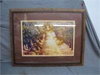 Framed Dirt Road With Foliage Picture