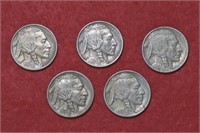5 - 1913 Ty 1 Buffalo Nickels
