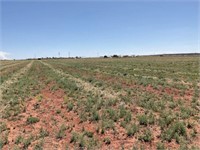 Arizona Farm & Ranch Land for Sale in Eastern Arizona