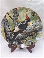 The ivory billed woodpecker by Carl brenders