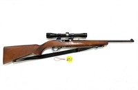 Ruger 10-22 .22 Auto with Leupold Scope