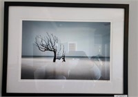 FRAMED AND MATTED DRIFTWOOD STYLE PHOTO