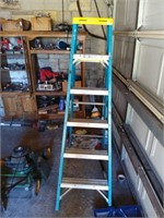 Werner 6 ft ladder