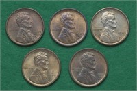 5 - 1909 VDB Lincoln Head Pennies
