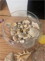 Bowl Full of Seashells
