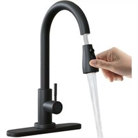 Lefree Kitchen Faucets with Pull Down Sprayer Sing