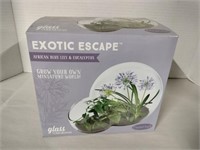 Exotic escape glass  terrarium