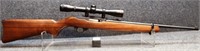 Ruger 10/22 Carbine .22 Semi-Auto. Rifle