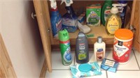 Cleaning supplies, shampoo, miscellaneous shoebox