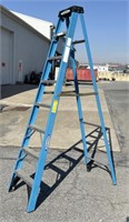 Werner 8 ft Ladder.