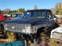1987 Chevy Scottsdale Pick-up Truck Body/Parts