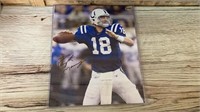 Autographed Peyton Manning Picture