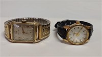 Vintage Hamilton Watch, Fossil Watch