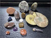 POLISHED FOSSIL, GEODE, & VARIOUS POLISHED STONES