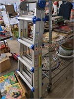 Costco multi-use ladder system