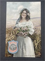 Vintage Iowa Picture Postcard!